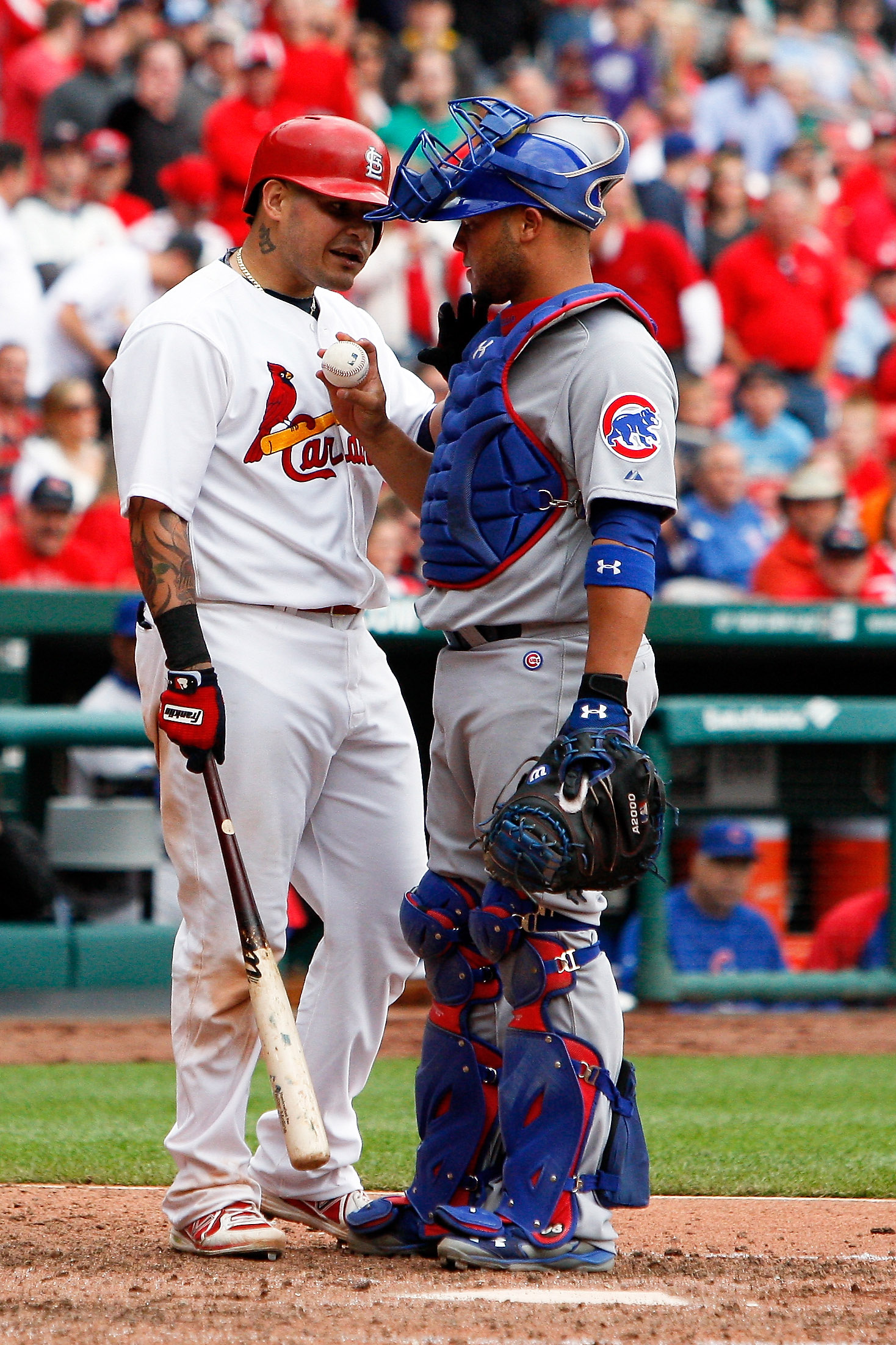 Cardinals catcher Yadier Molina is hit by a pitch in a rehab
