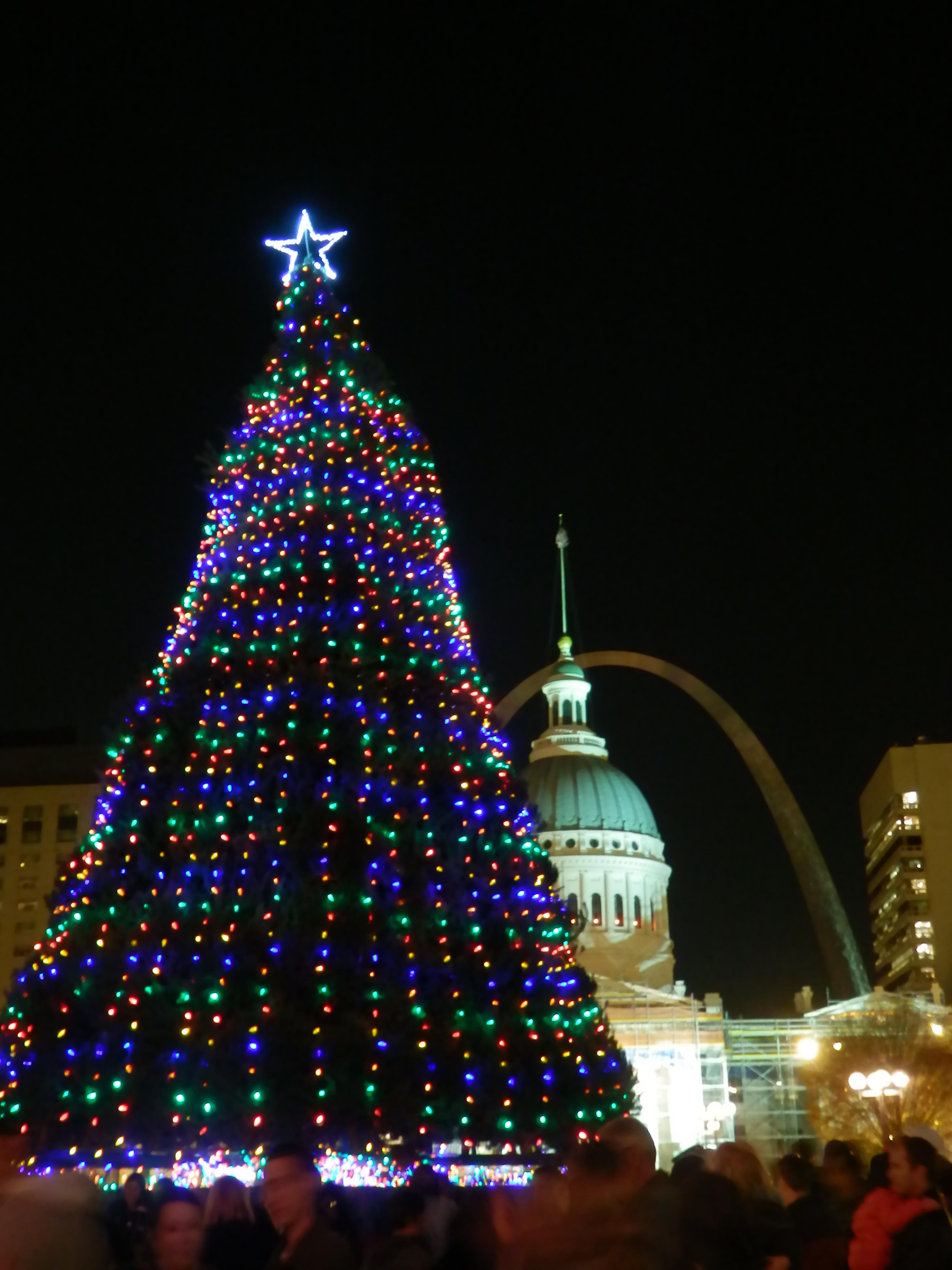 Salvation Army's Tree of Lights campaign helps year round