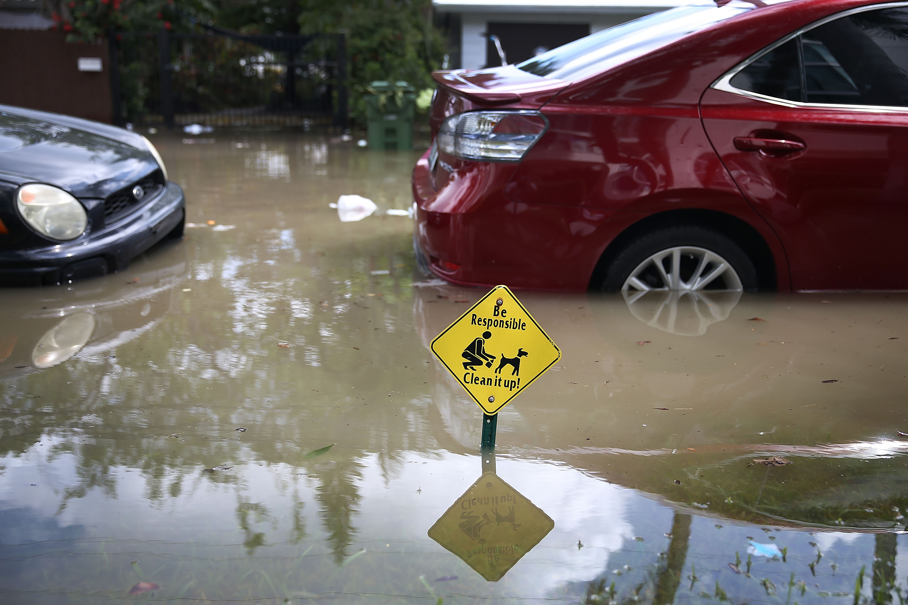 How to avoid buying a flooddamaged car