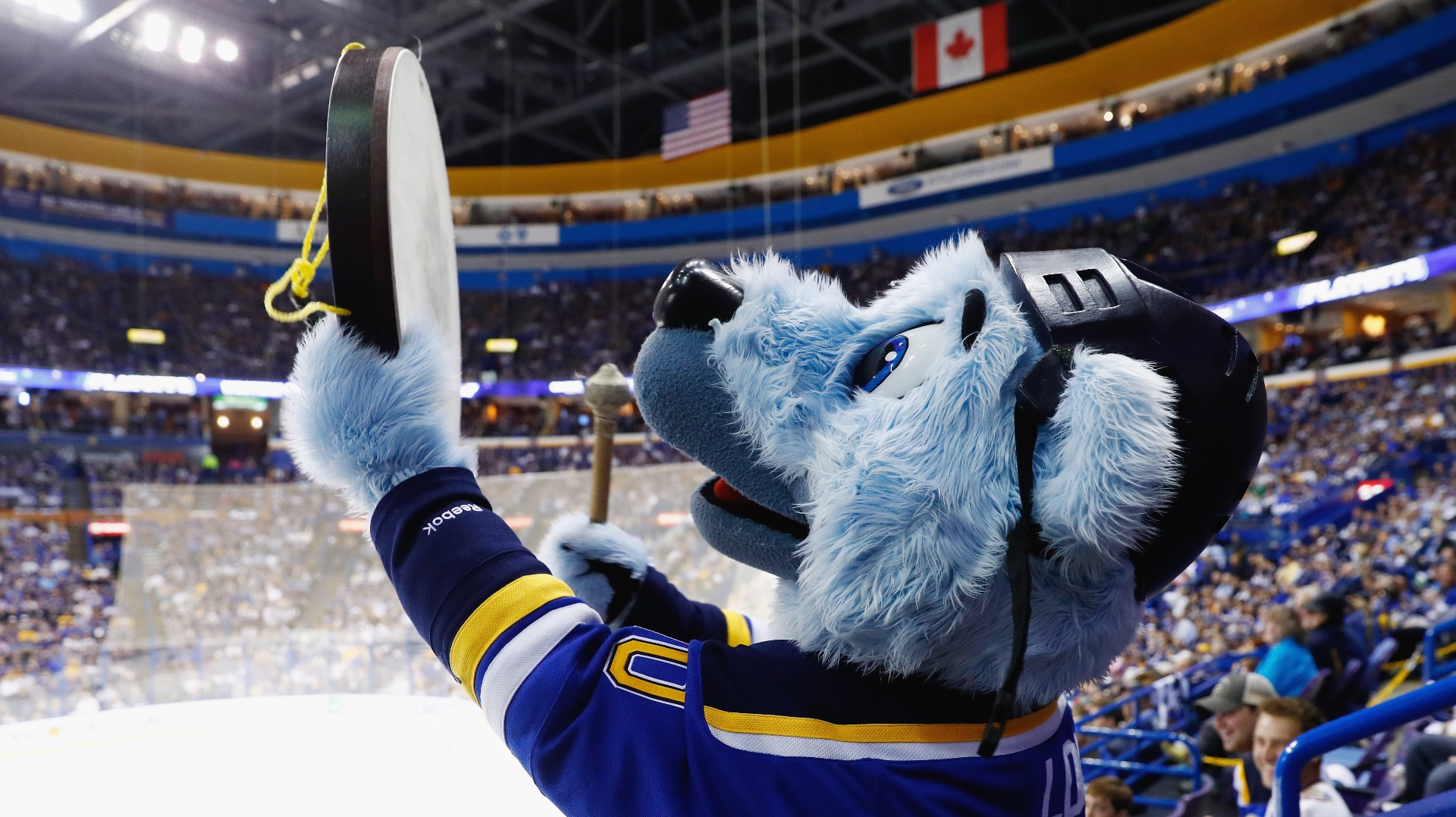 St. Louis Blues Mascot Earns First-Ever Stanley 'Pup' Championship