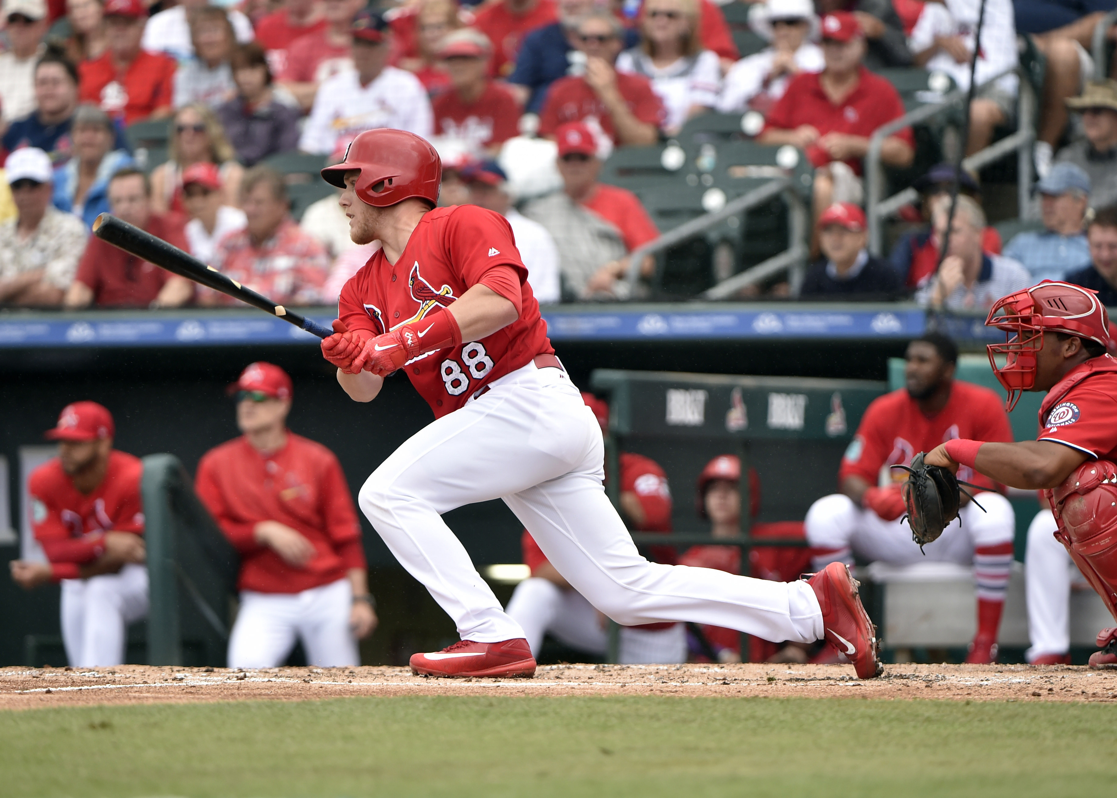 Washington Nationals vs St. Louis Cardinals Spring Training