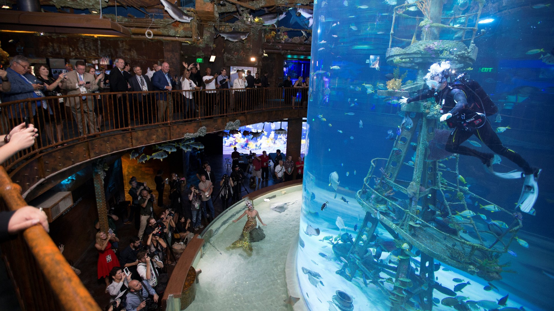 Largest fish and wildlife attraction in the world opens in Springfield,  Missouri